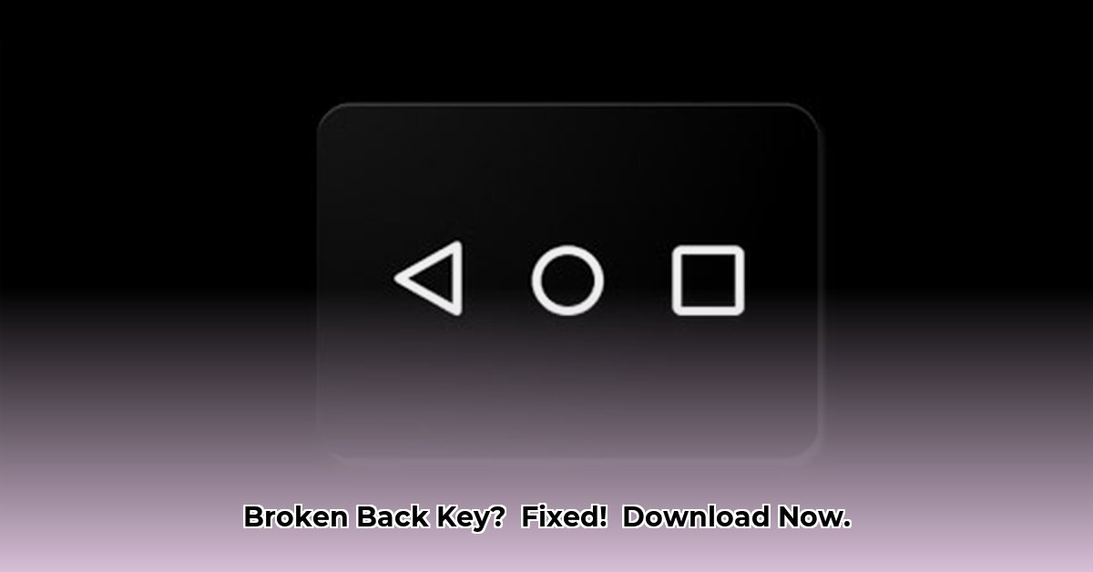back-key-apk